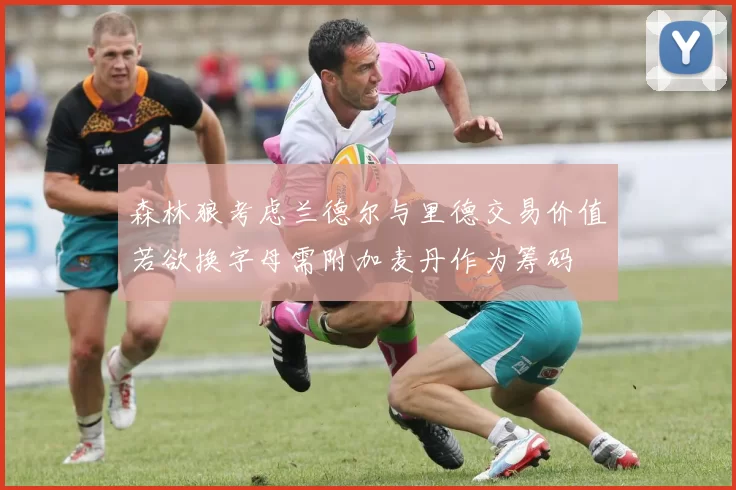 森林狼考虑兰德尔与里德交易价值若欲换字母需附加麦丹作为筹码
